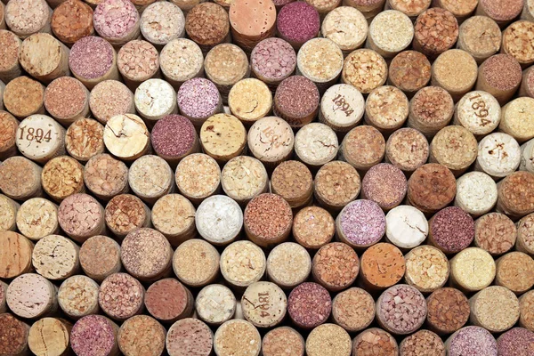 Colección de corchos de vino usados de diferentes variedades de vino — Foto de Stock
