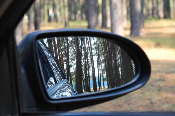 Lateral car mirror with picture of summer pine forest — Stock Photo, Image