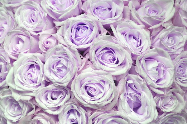 Absztrakt Virágos Háttér Csokor Rózsával — Stock Fotó