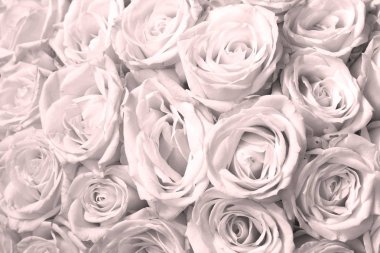 Pembe gül buketi ile doğal çiçek arka plan