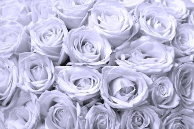 Gül buketli abract çiçek arkaplan