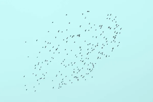Flock Birds Background Blue Sky — Stock Photo, Image