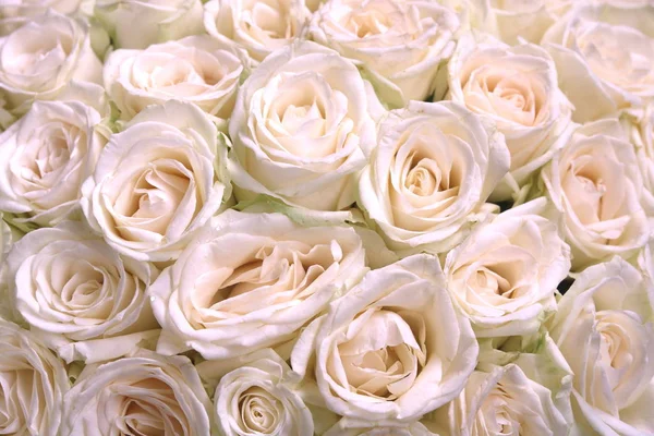 Naturlig Blommig Bakgrund Med Bukett Rosa Rosor — Stockfoto