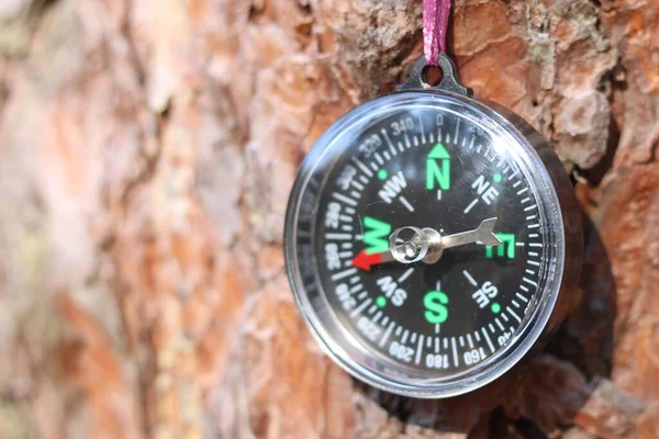 Stare Żelazko Kompas Drzewo Lesie Niewyraźne Tło Dla Napis — Zdjęcie stockowe
