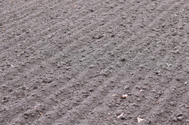 Doğal kahverengi organik doku ile toprak arka plan