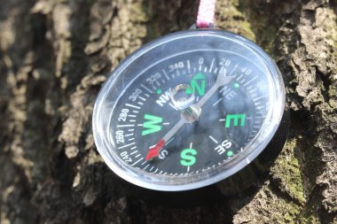 Eski demir pusulasına ormanda. Yazıt için arka plan bulanık.