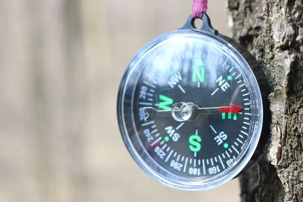 Old Iron Compass Tree Forest Blurred Background Inscription — Stock Photo, Image