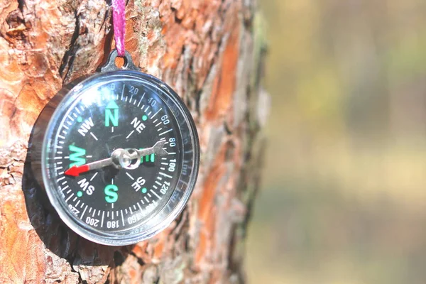 Eski demir pusulasına ormanda. Yazıt için arka plan bulanık.
