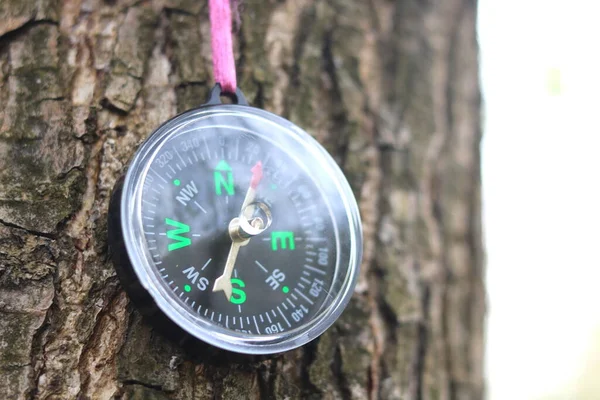 Stary Żelazny Kompas Drzewie Lesie — Zdjęcie stockowe