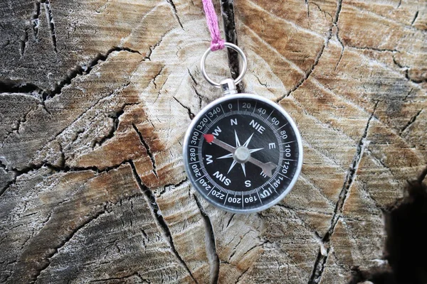 Stary Żelazny Kompas Drzewie Lesie — Zdjęcie stockowe
