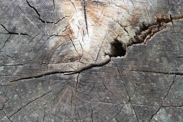 Drewniane Tło Piękną Fakturą Starego Drzewa Elementami Zgniłego Zniszczonego Drzewa — Zdjęcie stockowe