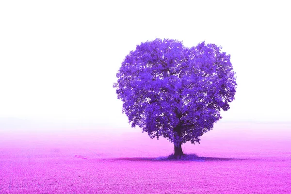 Abstrakt Bild Med Träd Form Hjärta Som Symbol För Kärlek — Stockfoto
