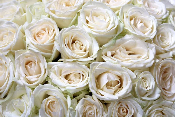 Fond Floral Naturel Avec Bouquet Roses Blanches — Photo