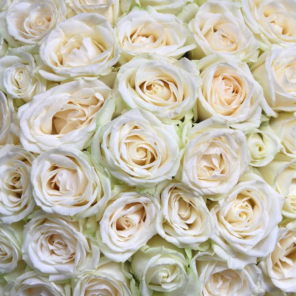 Fond Floral Naturel Avec Bouquet Roses Blanches — Photo