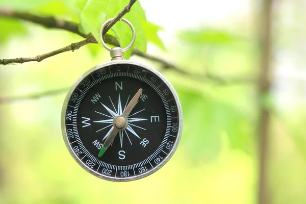 Starý Kompas Přírodním Dřevěném Pozadí — Stock fotografie