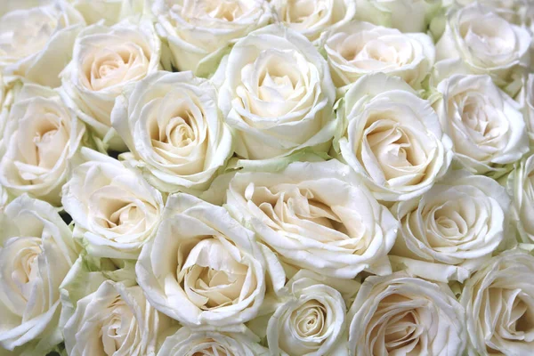 Fundo Floral Natural Com Buquê Rosas Brancas — Fotografia de Stock