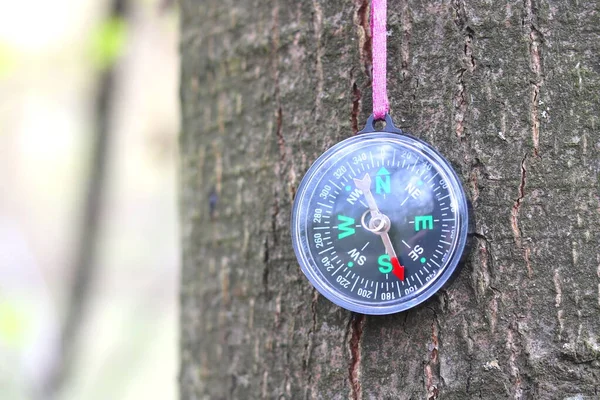 Oud Kompas Natuurlijke Houten Ondergrond — Stockfoto