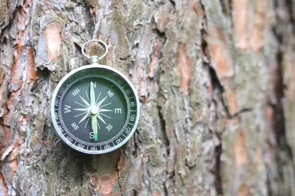 Stary Kompas Naturalnym Drewnianym Tle — Zdjęcie stockowe