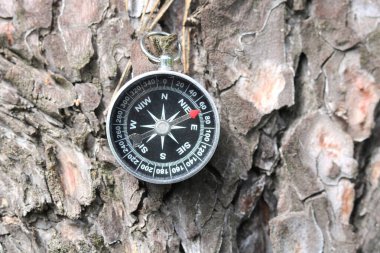 Doğal arka planda eski pusula