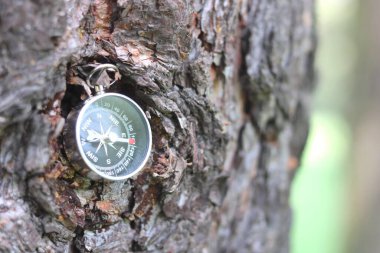 Doğal arka planda eski pusula