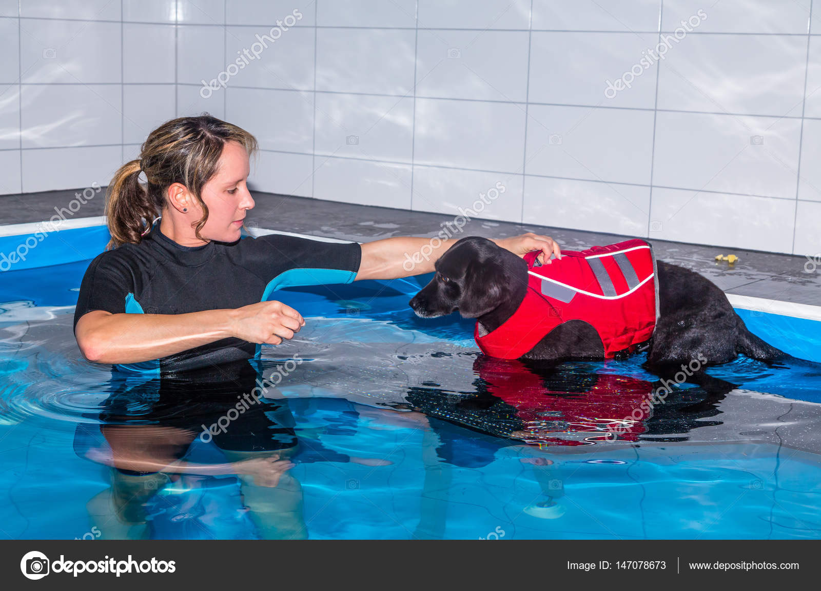 Is There Physical Therapy For Dogs