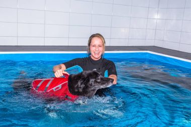 ile köpek tedavi Yüzme