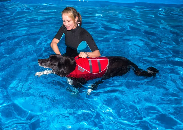 Pet and woman inside pool — Stock Photo, Image