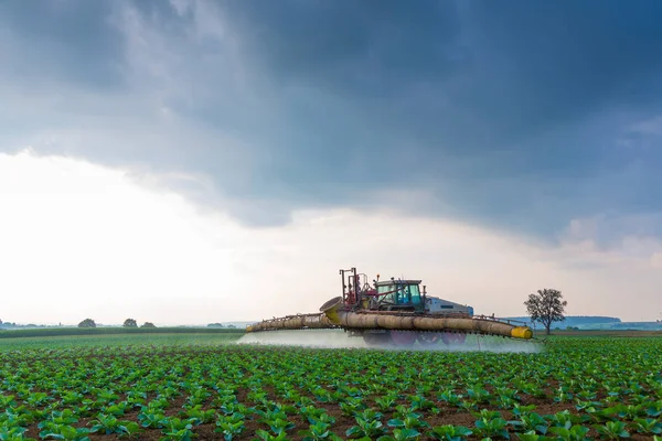 Agricoltura in una giornata nuvolosa — Foto Stock