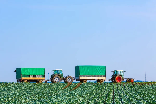 Dettaglio agricolo con trattori — Foto Stock