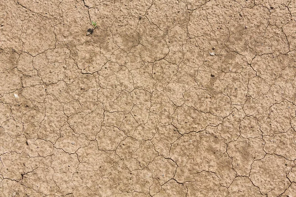 Cracked soil in drought — Stock Photo, Image