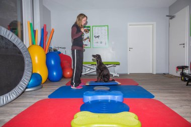 köpek tutmak denge öğrenir