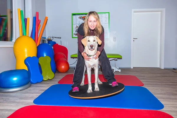 balanceing köpek terapi