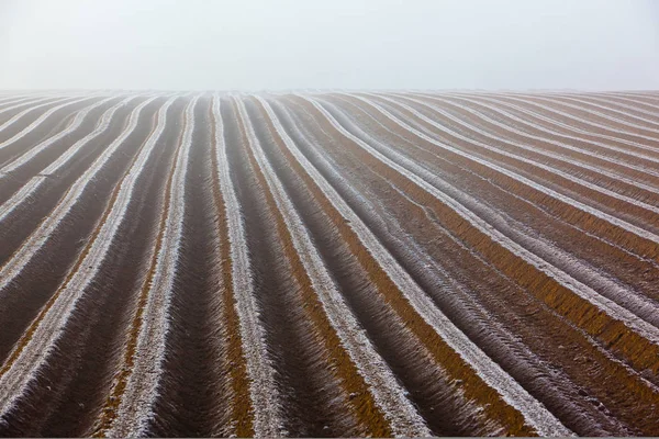 Frostiga jordbruksmark på morgonen — Stockfoto