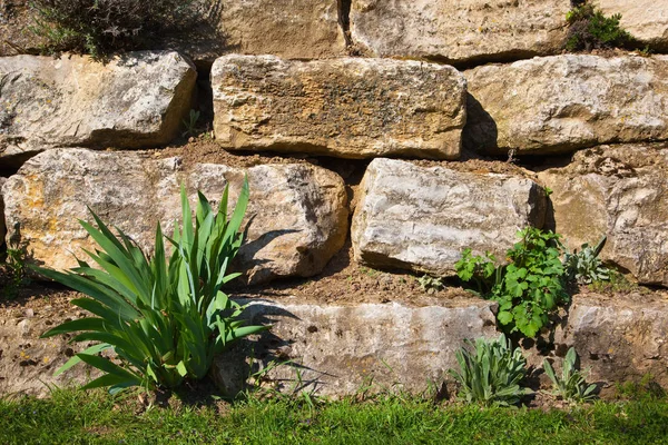 garden stone wall with flowers