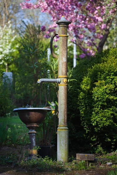Старый насос в цветущем саду — стоковое фото