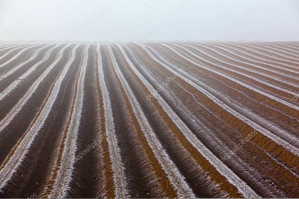 frosty farmland in the morning