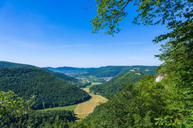 suebian alb görüntüleme