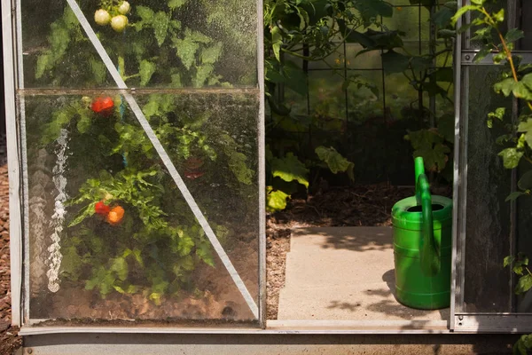 Hothouse with watering can — Stock Photo, Image