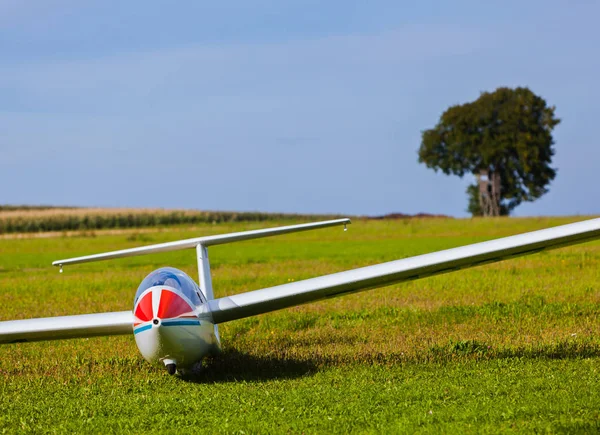 Zweefvliegtuig op een groene weide — Stockfoto
