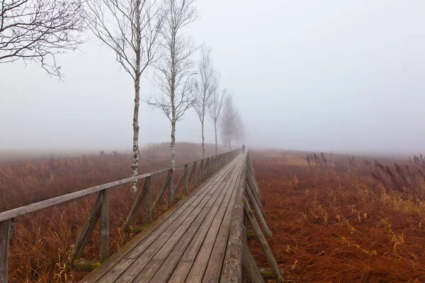 Caminho pedestre em um dia nebuloso — Fotografia de Stock