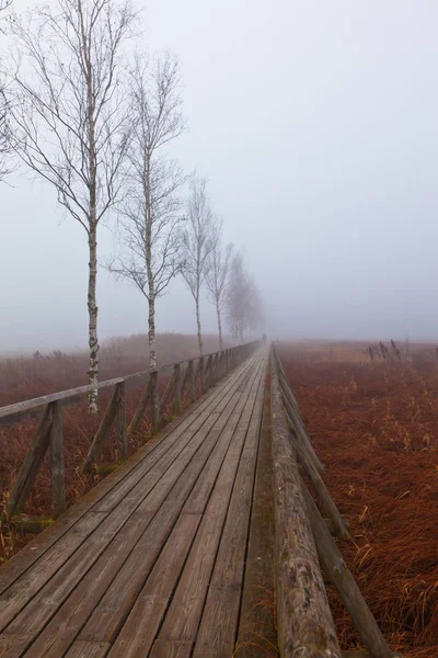 Caminho com nevoeiro pela manhã — Fotografia de Stock