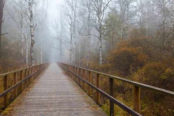 yolu bir sisli sabahı