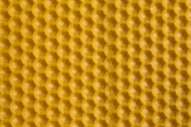 Arılar için suni petek