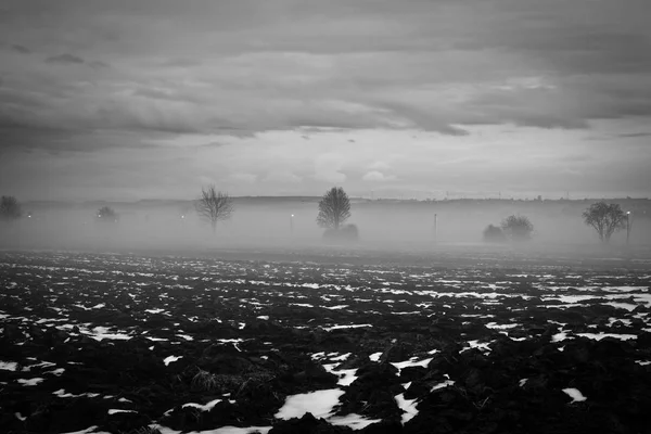 Winter landscape in black and white — Stock Photo, Image