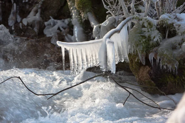 Icicles in stream — Stock Photo, Image