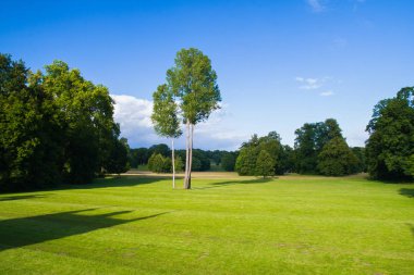 ciğeri ve ağaçlar ile manzara