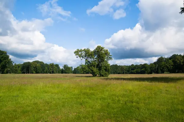 ciğeri arazi ile ağacını açın