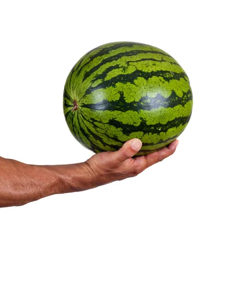 Hand och vatten melon — Stockfoto
