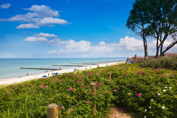 Plaży Ahrenshoop — Zdjęcie stockowe