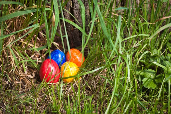 Ninho cheio de ovos de páscoa coloridos — Fotografia de Stock